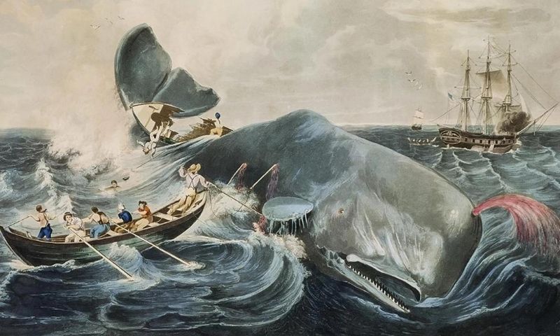 Imprescindibles: Moby Dick